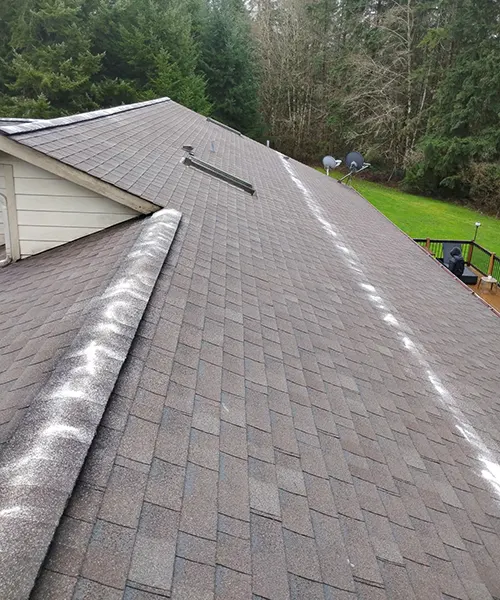 Roof Cleaning in Raymond 